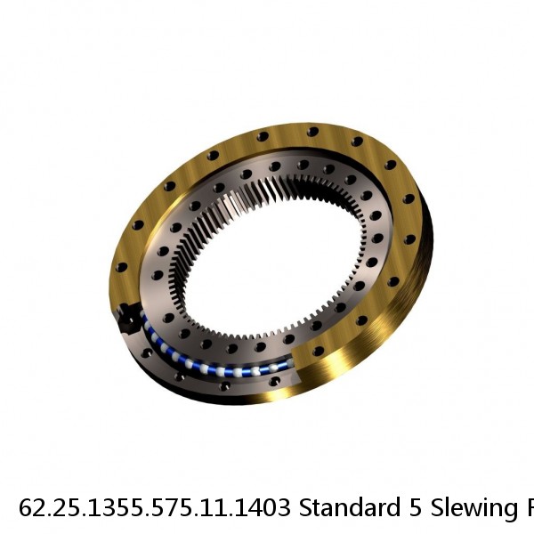 62.25.1355.575.11.1403 Standard 5 Slewing Ring Bearings