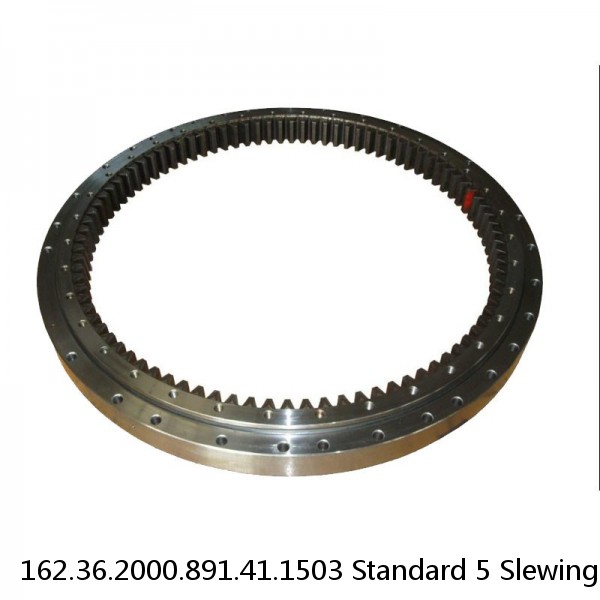 162.36.2000.891.41.1503 Standard 5 Slewing Ring Bearings