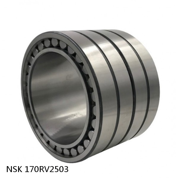 170RV2503 NSK Four-Row Cylindrical Roller Bearing